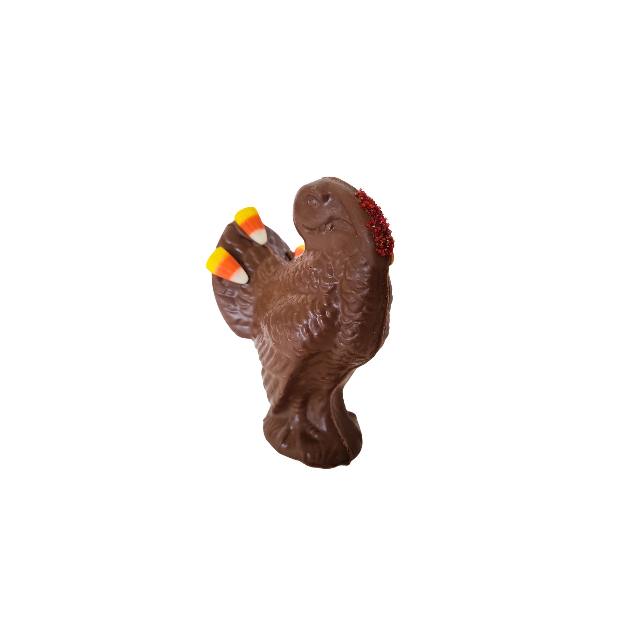 Chocolate turkey with candy decorations on a white background