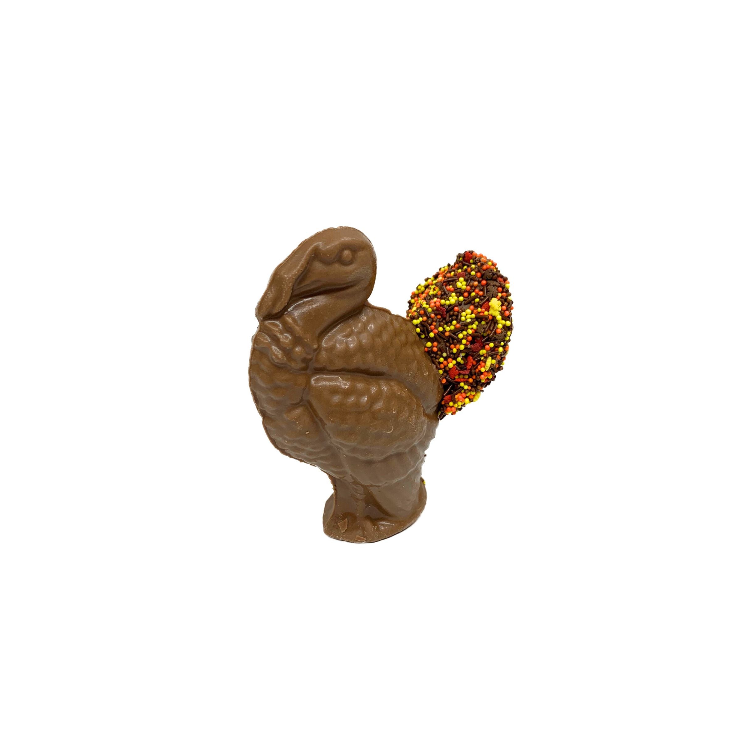 Chocolate turkey with a colorful shell on a white background