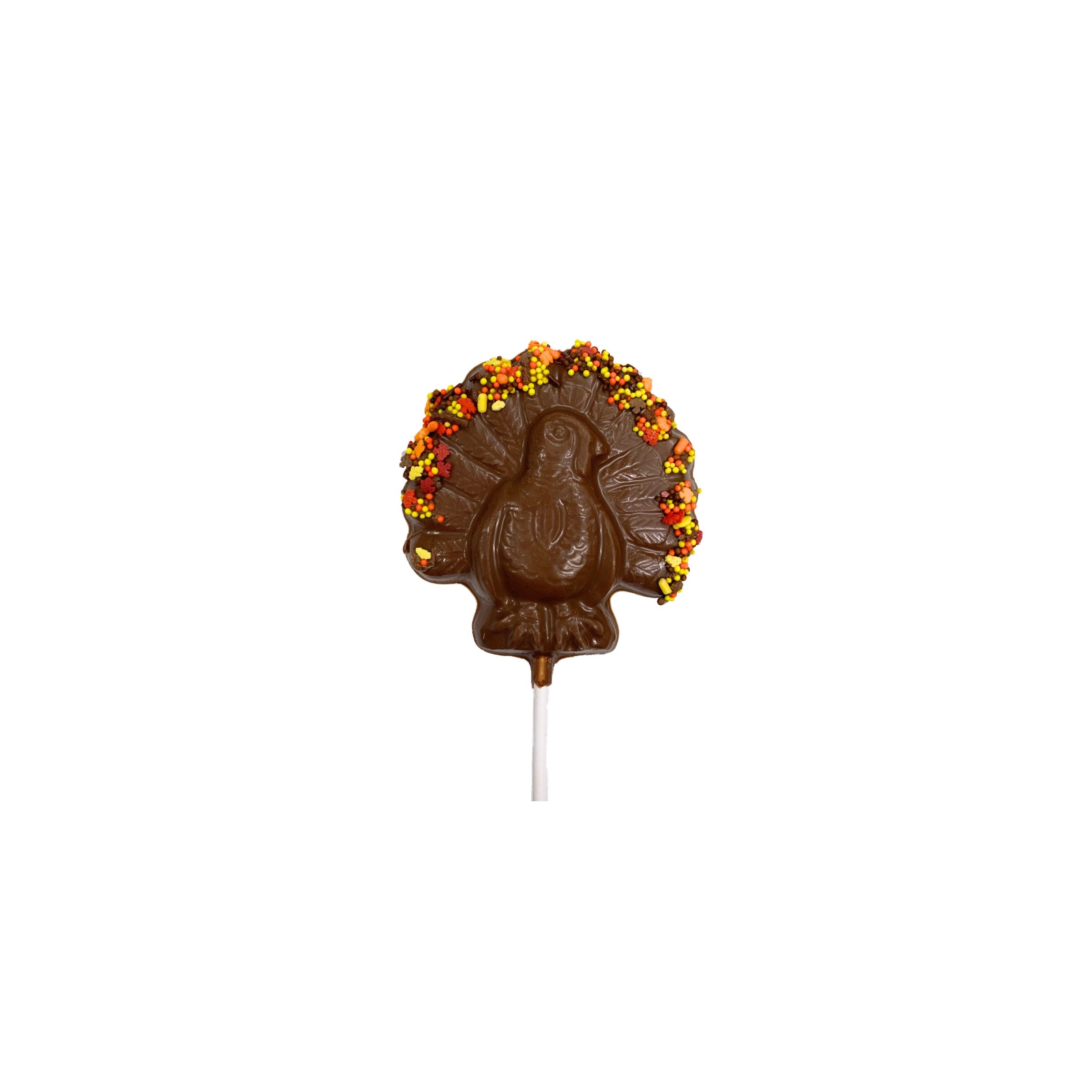 Chocolate turkey lollipop on a white background