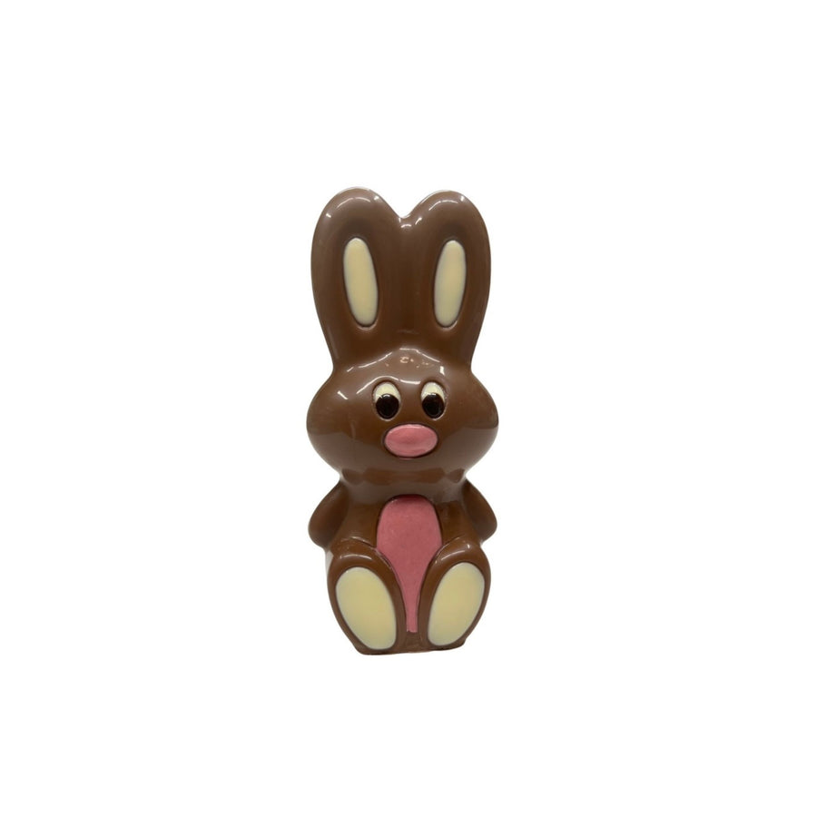 Chocolate bunny figurine on a white background