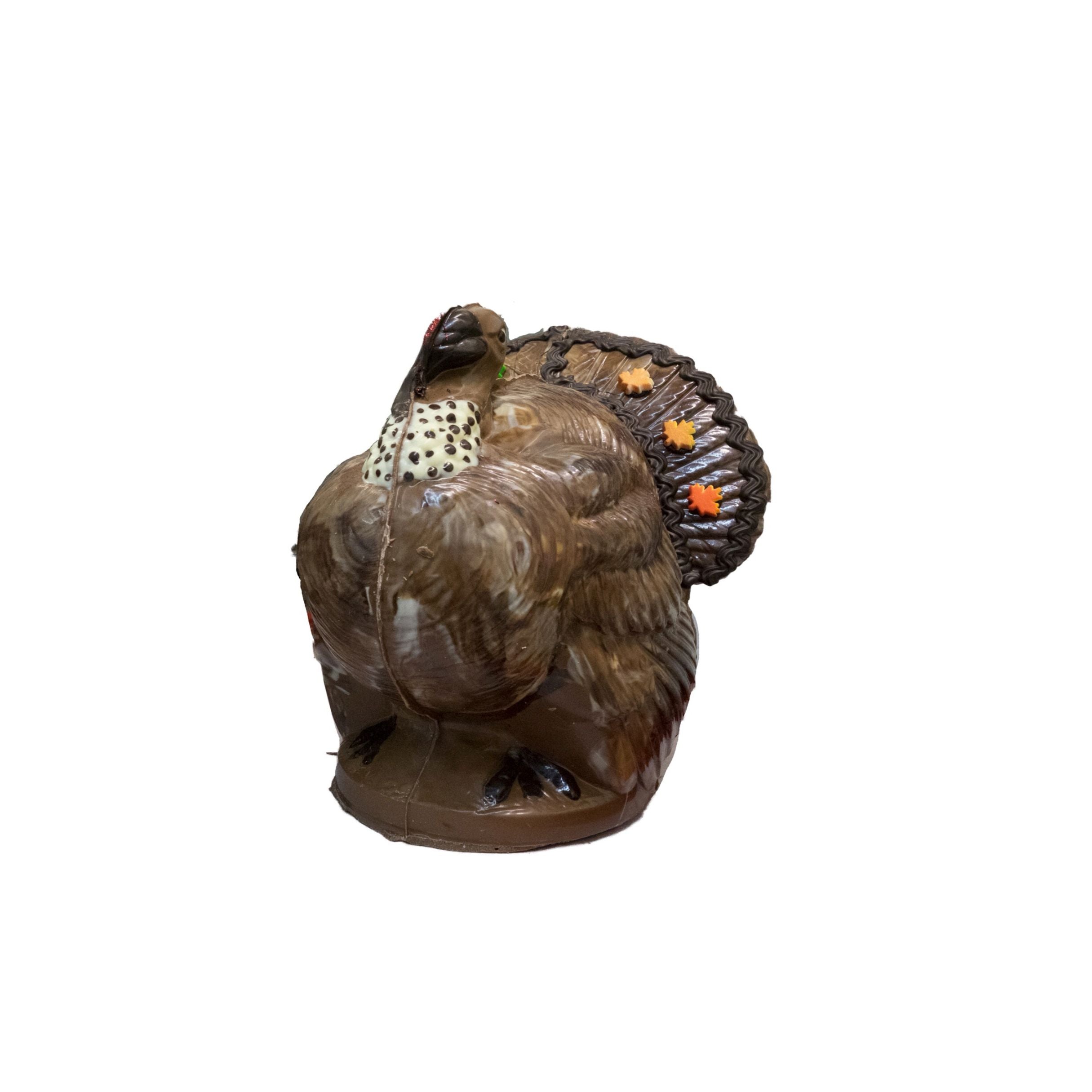 Chocolate Turkey on a white background