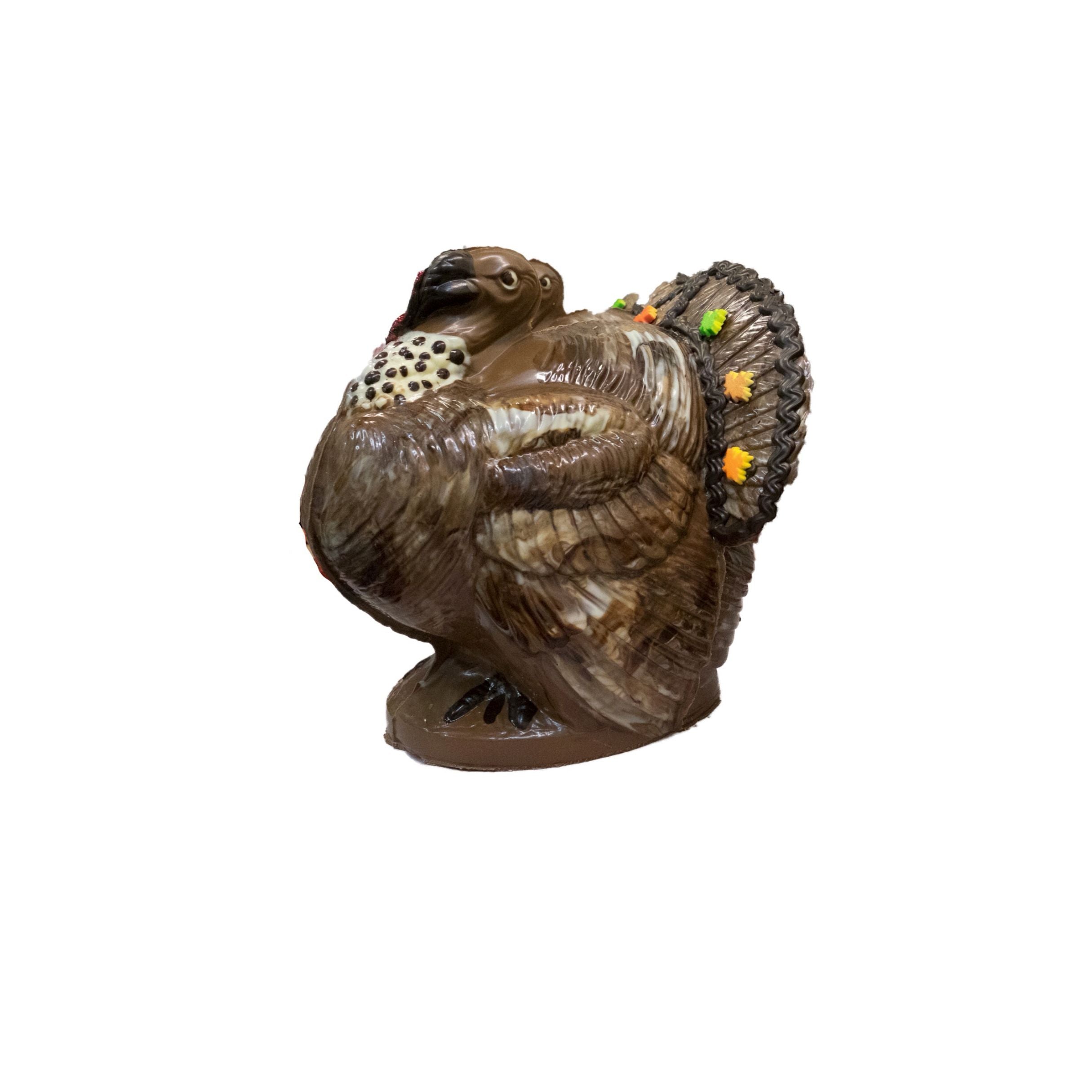 Chocolate Turkey decorated on a white background