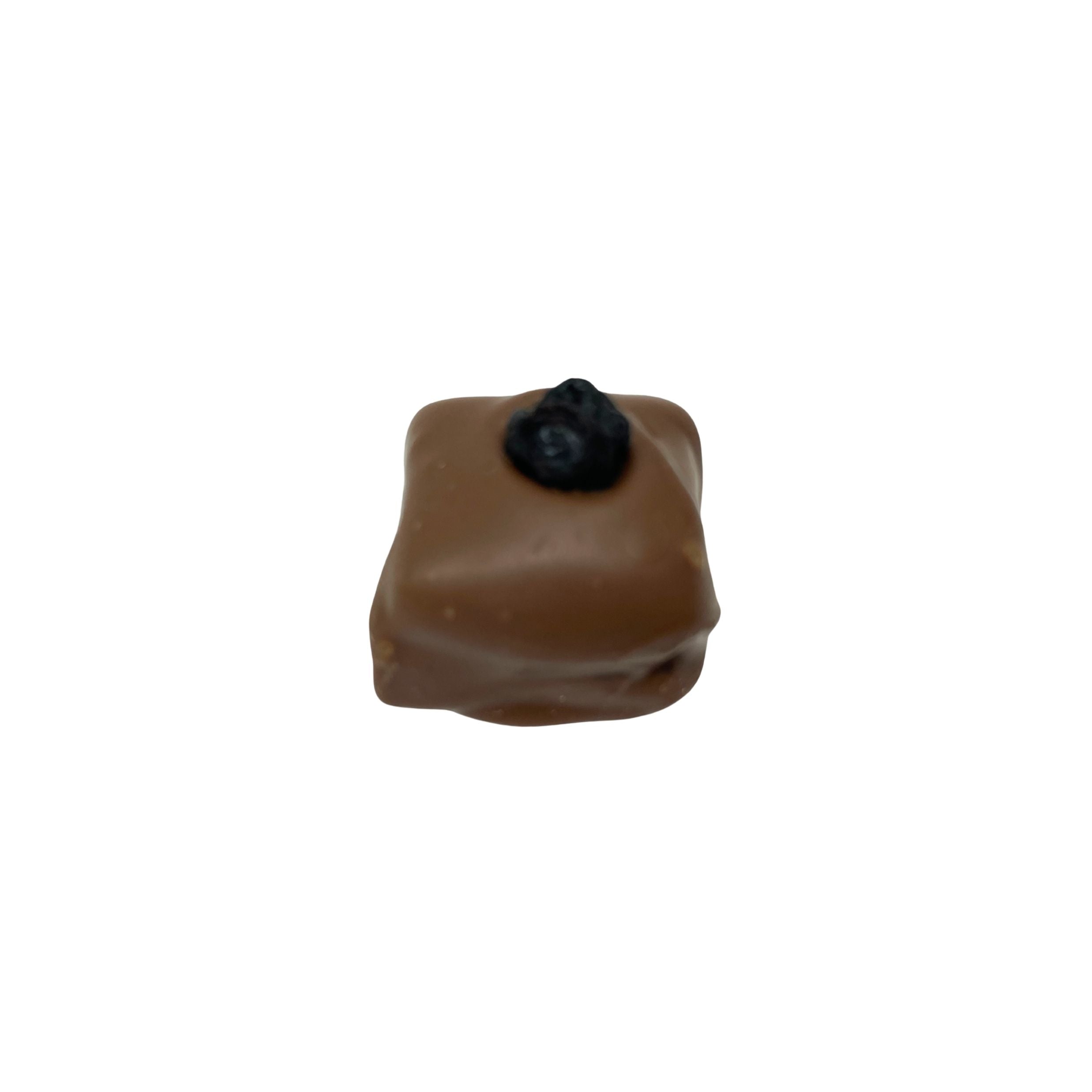 A single square brown chocolate candy with a small dark blueberry on top, isolated on a solid white background.