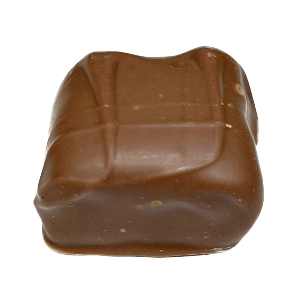 chocolate covered fudge
