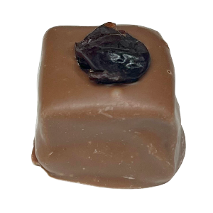 Chocolate covered square fudge with dried cherry