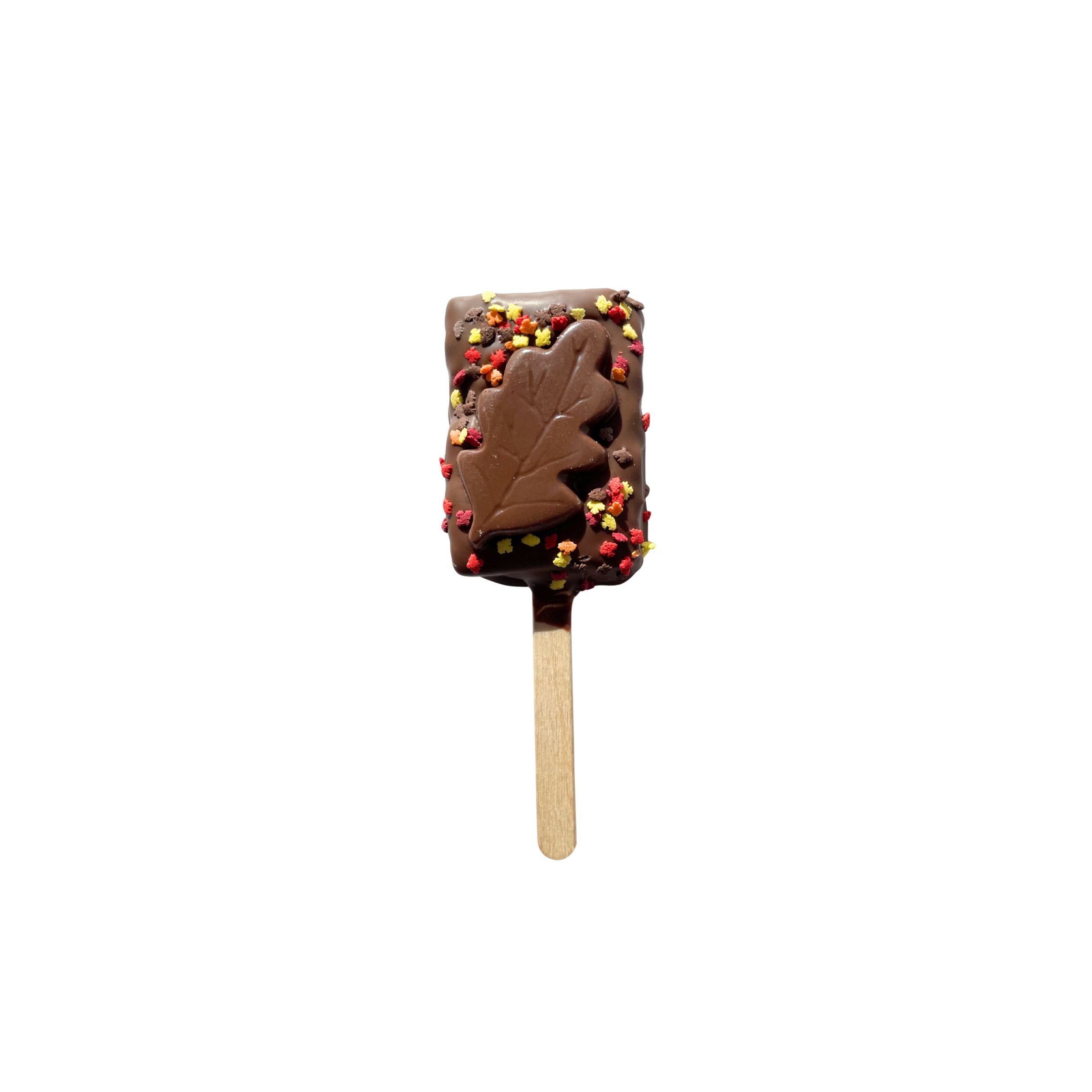 Chocolate-covered rice krispie on a popsicle stick with leaf design on a white background