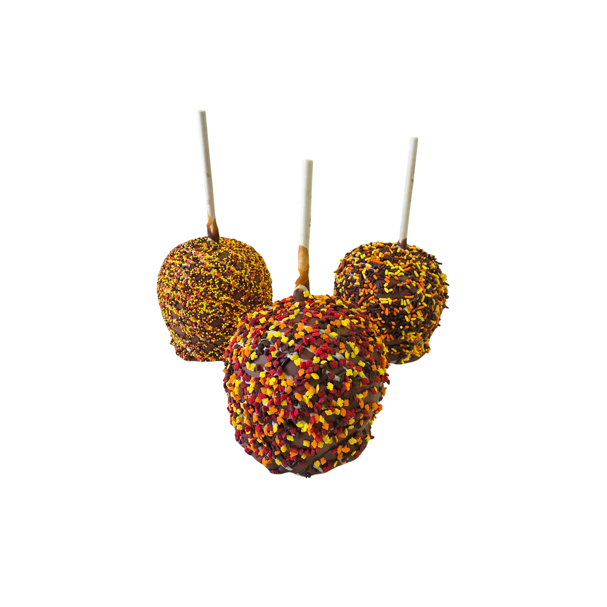 3 chocolate covered apples on white background with orange, yellow, brown and red colors